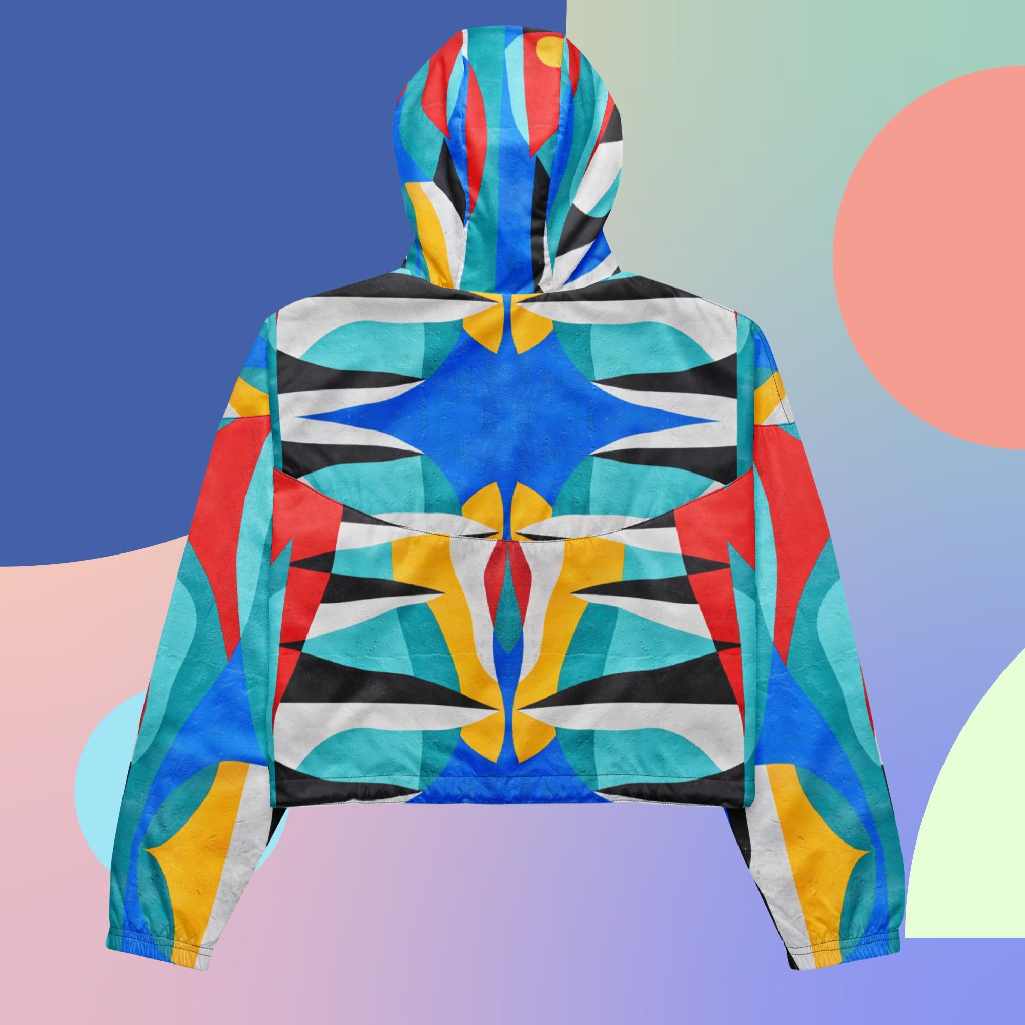 [MSCHF] THREADLINE CURVE WINDBREAKER /追跡付 COACH® | Colorblock Signature Half Zip Windbreaker